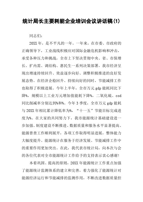 统计局长主要耗能企业培训会议讲话稿(1)