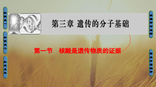 2018学年高中生物浙科版必修二课件:第3章 第1节 核酸是遗传物质的证据