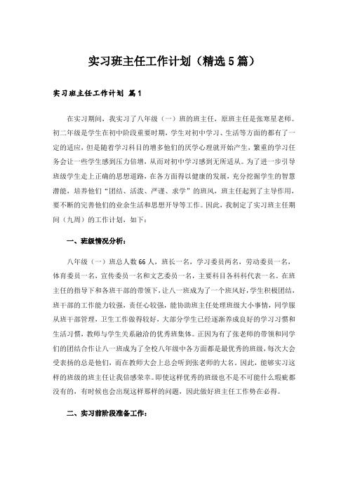 实习班主任工作计划(精选5篇)