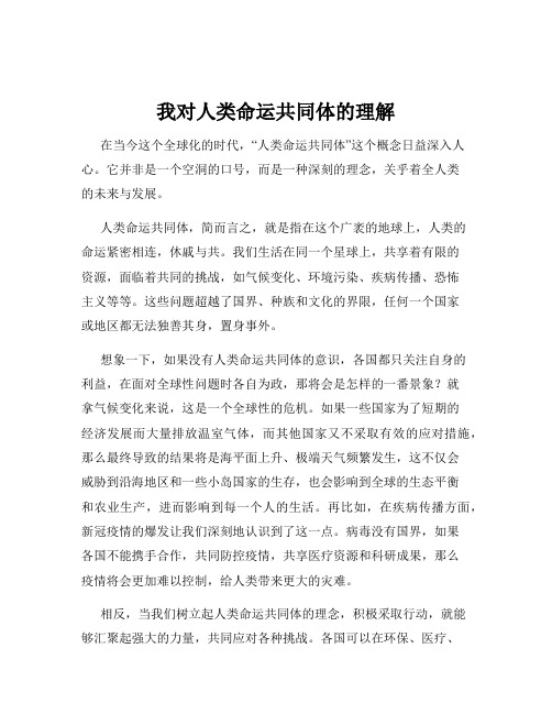 我对人类命运共同体的理解