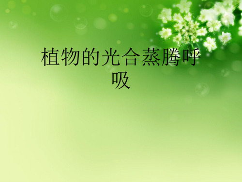 植物的光合蒸腾呼吸优秀课件