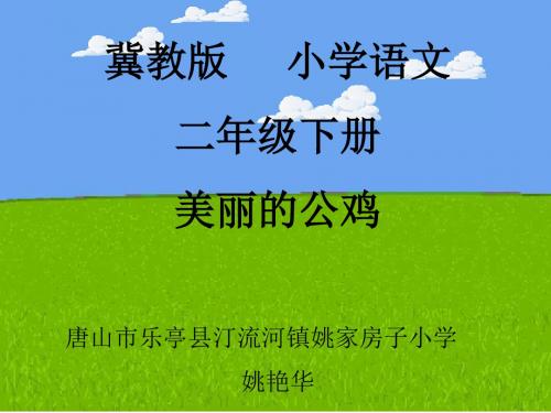 美丽的公鸡1ppt课件.ppt