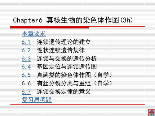 染色体作图(医学PPT课件)