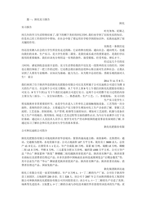 陕化实习报告