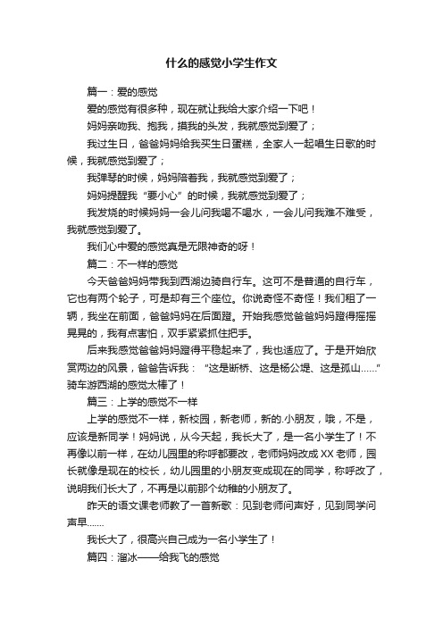 关于什么的感觉小学生作文五篇