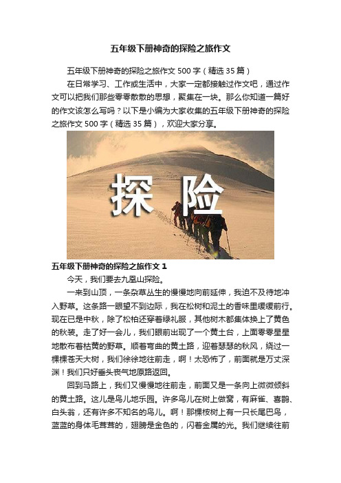 五年级下册神奇的探险之旅作文