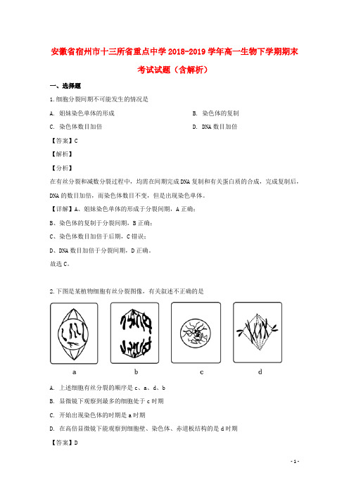 安徽省宿州市十三所省重点中学2018_2019学年高一生物下学期期末考试试题(含解析)