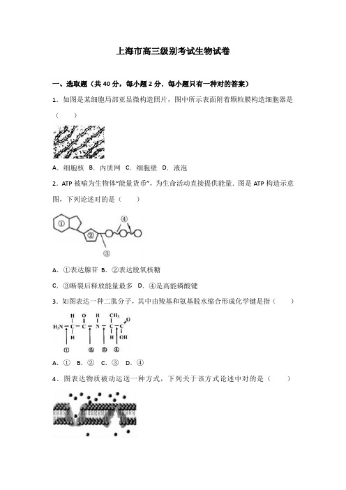 2021年上海市高三等级考试生物试卷解析版