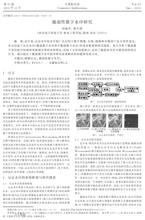 脆弱性数字水印研究