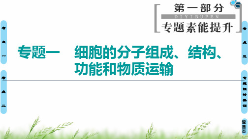 【最新】2020高考二轮生物课标版 第1部分 专题1 细胞的分子组成、结构、功能和物质运输