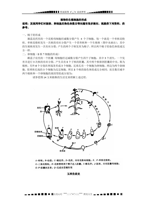 植物的生殖细胞的形成