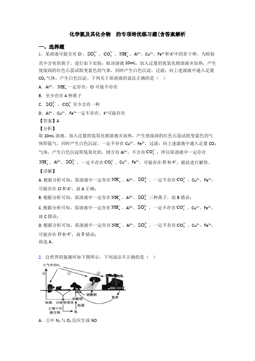 化学氮及其化合物  的专项培优练习题(含答案解析