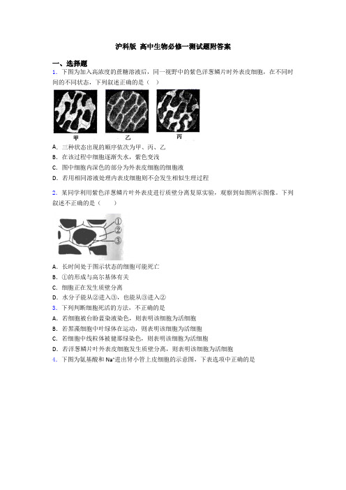 沪科版 高中生物必修一测试题附答案