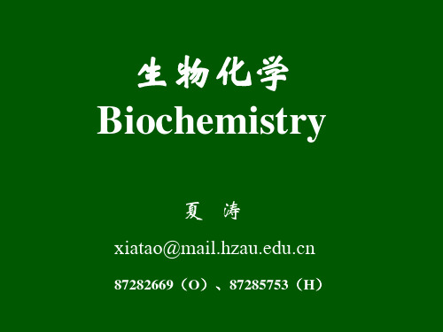 生物化学--- PPT课件