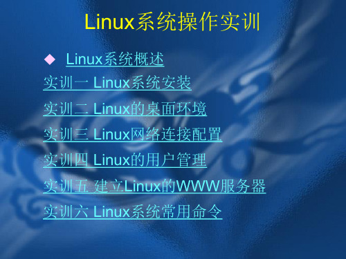 Linux系统操作实训