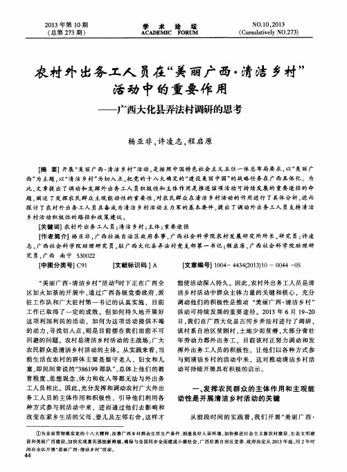 农村外出务工人员在“美丽广西·清洁乡村”活动中的重要作用——广西大化县弄法村调研的思考