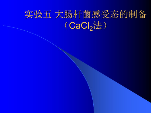 实验五大肠杆菌感受态的制备(CaCl2法)