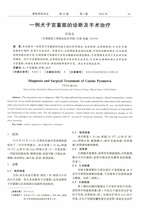 一例犬子宫蓄脓的诊断及手术治疗