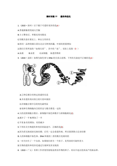 浙教版科学2015年中考复习《中考拐点》课时训练10   遗传和进化