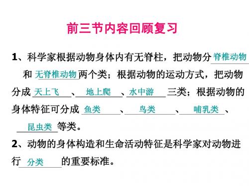 4.5《相貌各异的我们》PPT