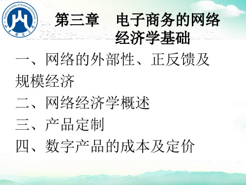 第3章网络经济学基础ppt课件