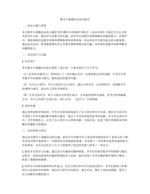 数学小课题活动总结报告