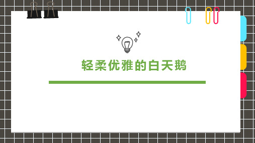 6-8岁轻柔优雅的白天鹅—美术课件