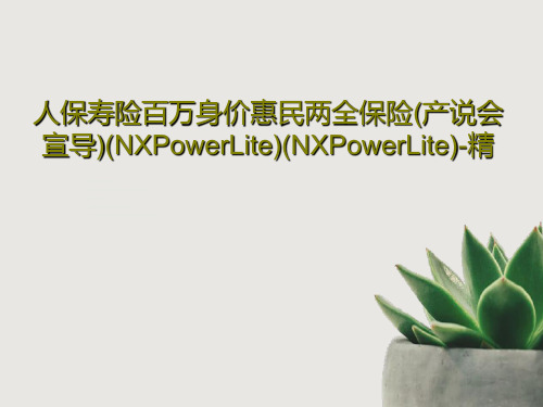 人保寿险百万身价惠民两全保险(产说会宣导)(NXPowerLite)(NXPowerLite)-精P