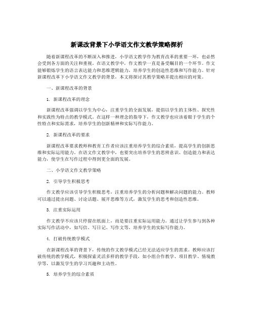 新课改背景下小学语文作文教学策略探析