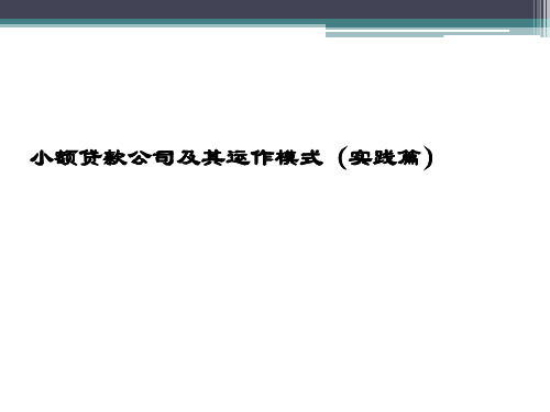 最新小额贷款公司及其运作模式
