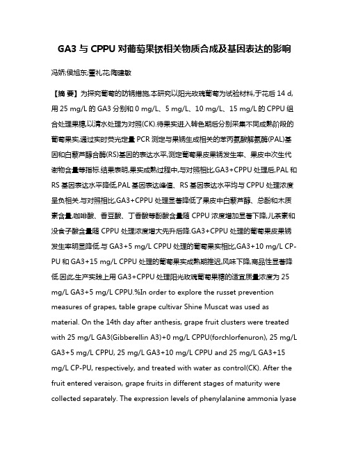 GA3与CPPU对葡萄果锈相关物质合成及基因表达的影响