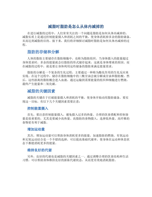 减脂时脂肪是怎么从体内减掉的