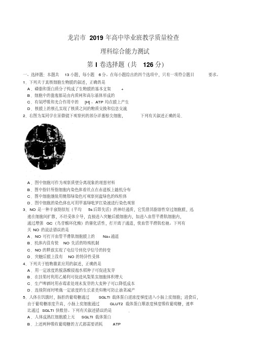 福建省龙岩市2019年高三3月教学质量检查理综生物试题word