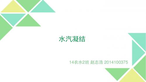 农业气象学水汽凝结 PPT