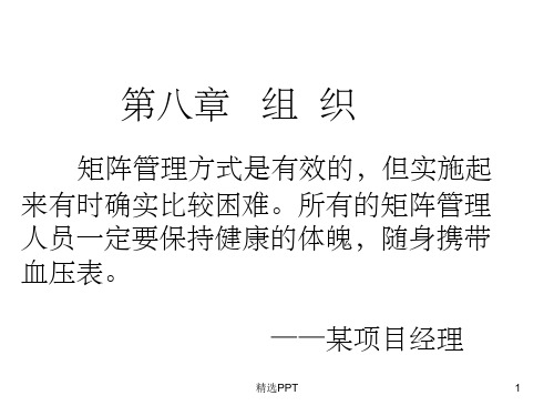 《中文第八章组织》PPT课件