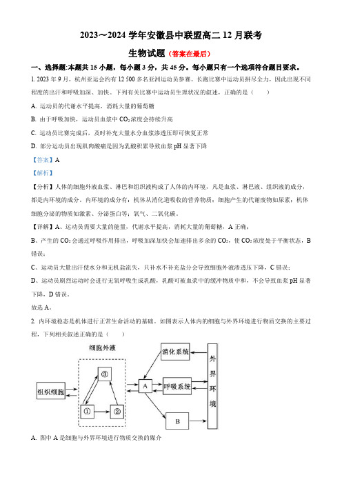 安徽省县中联盟2023—2024学年高二12月联考生物试题含解析