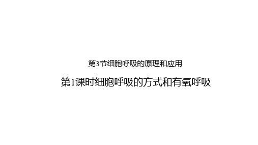 5.3.1 细胞呼吸的方式和有氧呼吸课件(共28张PPT)(2024年)