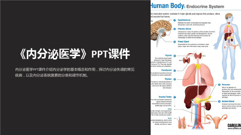 《内分泌医学》课件