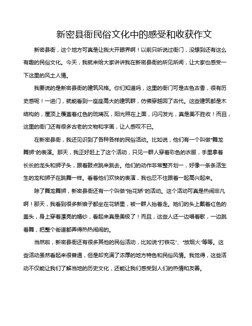 新密县衙民俗文化中的感受和收获作文