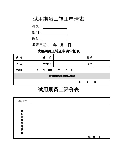 试用期员工转正申请表及考核全套