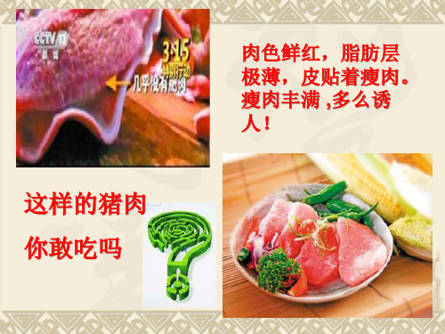 瘦肉精ppt