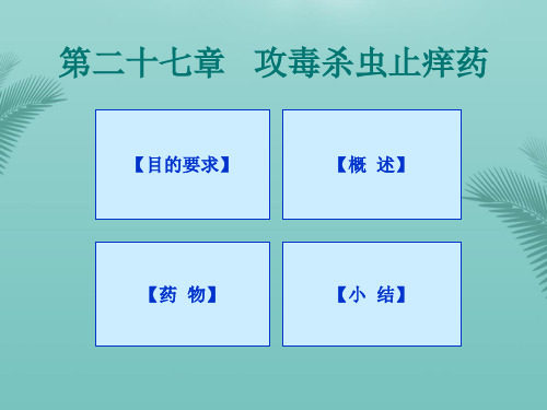 攻毒杀虫止痒药.优秀精选PPT