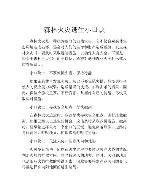 森林火灾逃生小口诀