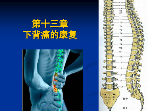 下背痛的康复精品PPT课件