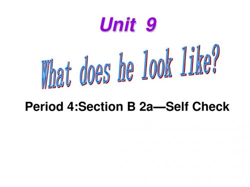 七年级英语下册Unit9WhatdoeshelooklikePeriod4教学课