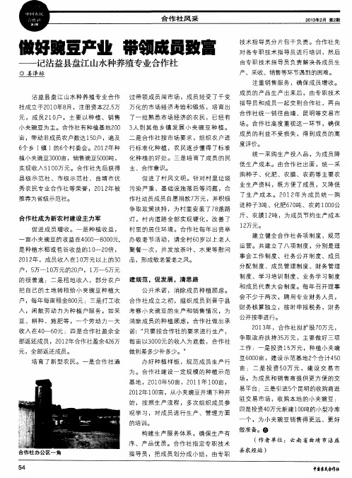 做好豌豆产业带领成员致富--记沾益县盘江山水种养殖专业合作社