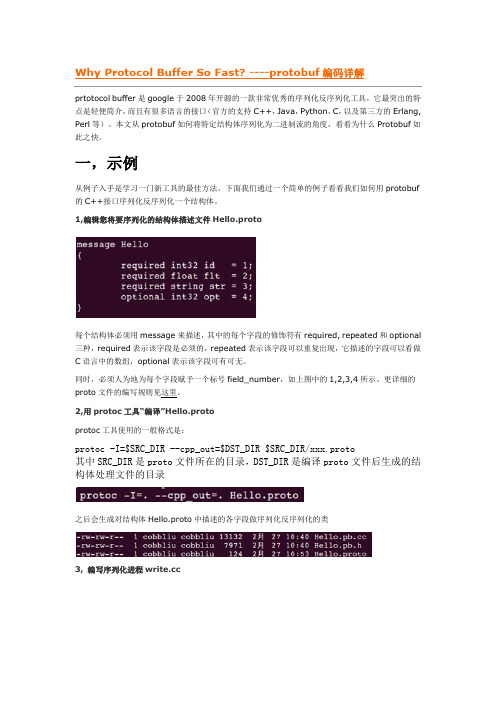 Protobuf编码详解