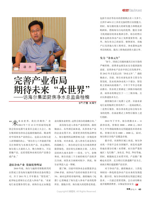 完善产业布局期待未来“水世界”——访海尔集团厨房净水总监曲桂楠
