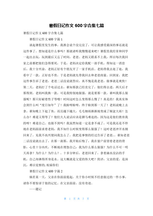 暑假日记作文600字合集七篇