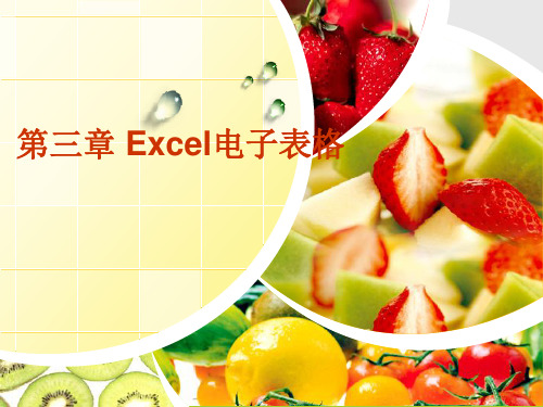 《Office 2010办公自动化高级应用》第3章 电子表格处理软件Excel Excel任务4